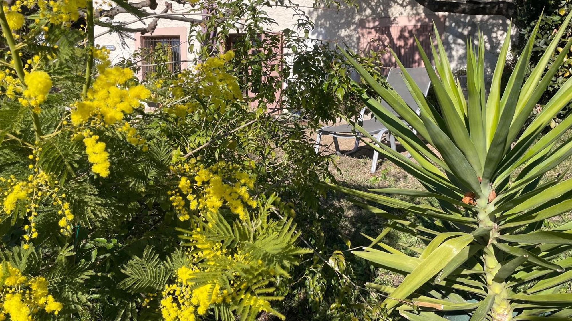 Large Private Garden, Quiet 2-Bedroom Apartment, Air Conditioning, Wifi, Parking Cassis Exterior foto